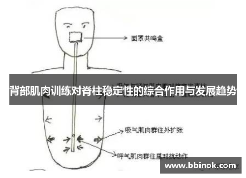 背部肌肉训练对脊柱稳定性的综合作用与发展趋势